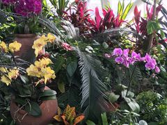 -郑州植物园