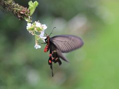 -苏州河梦清园环保主题公园