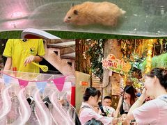 -正佳雨林生态植物园