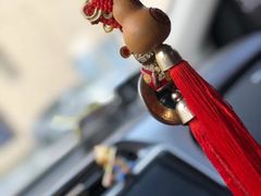 -忠顺驾校有证练车中心