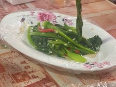 -特克斯八卦城