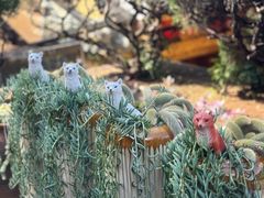 -和顺古镇