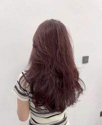 -艺之剪