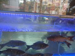 -阿瓦山寨·湘菜现炒·剁椒鱼头王(咸阳总店)