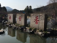 -香雪海