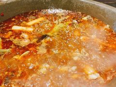 -石锅苗苗鱼(武汉首店)