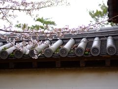 -醍醐寺