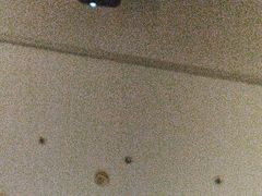 -新紫霞养生·影院足道·SPA(金山区店)