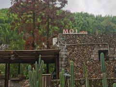 -MOJ coffee(瓯海泽雅水碓坑店)