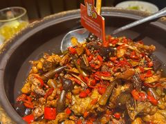 茶油炒土鸡-烹湘·鲜炒湖南土菜(海珠店)