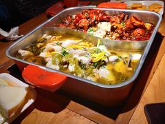 -舒来喜鱼锅(伊河路店)