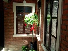 -那些年记忆烧烤