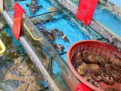 -鑫鸿达·海鲜闽菜热炒小馆(中山路店)