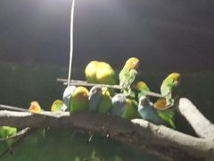 -大河马水上世界