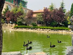 -芭东小镇温泉
