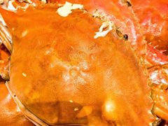 -北塘海鲜·天津菜·鲅鱼水饺是一绝(大光明桥旗舰店)