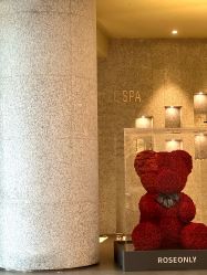 -VELEE·SPA高定疗愈会所