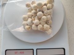 -新隆嘉优选超市(宁山东路店)