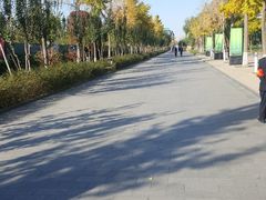 -廊坊文化艺术中心