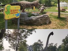 -西部长青自然儿童乐园