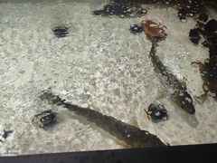 -永辉超市(嘉定宝龙广场店)