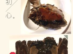 -新光酒家·河豚·海鲜·蟹料理(浦东店)