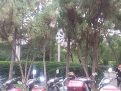 android_upload_pic-迎泽公园