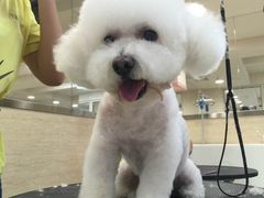 -多卡布奇宠物生活馆(上林世家店)