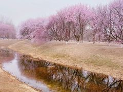 -北京奥林匹克公园