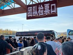 -汤旺河林海奇石景区