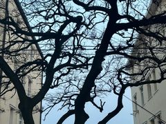 -海合安青岛极地海洋公园