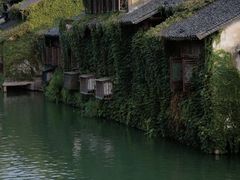 -乌镇景区