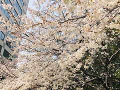 -玛格萝妮比萨屋(四平店)