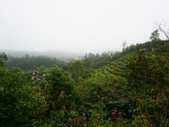 -东部华侨城