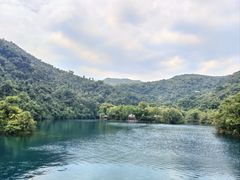 -鼎湖山风景区