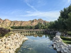 -红山国家森林公园