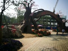 -绵阳盛世樱花悠乐谷