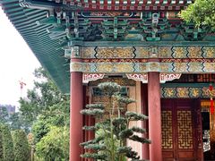 -广东圆玄道观