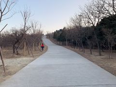 -鬼笑石后山停车场