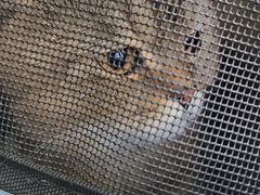 -心仪动物医院·牙专科·肿瘤·心脏科(西客站院)