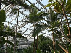 -北京植物园-展览温室