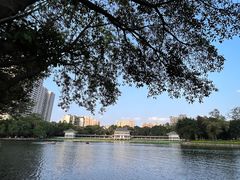 -荔湾湖公园
