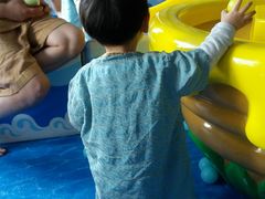 -醉翁水城