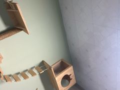 -半岛宠物医院24小时(白果林店)