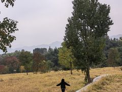 -塔川景区