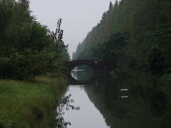 -黄海国家森林公园