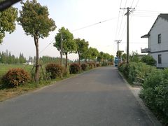 -大莲湖农家乐(青西郊野公园店)