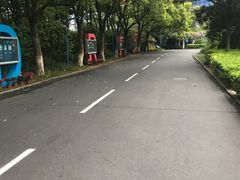 -上海市世外小学