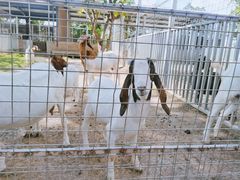 -迪茵湖田家舍生态农场