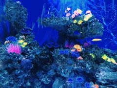 -成都浩海立方海洋公园